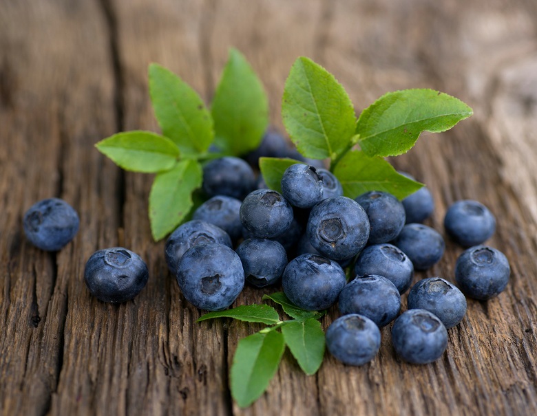 Bilberry Benefits for Skin, Hair and Health