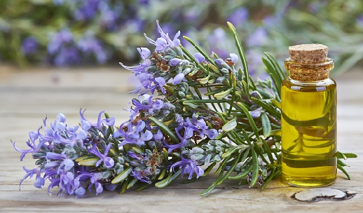 Rosemary oil for Skin Tightening