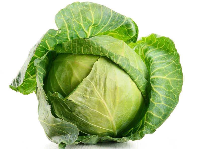 cabbage benefits