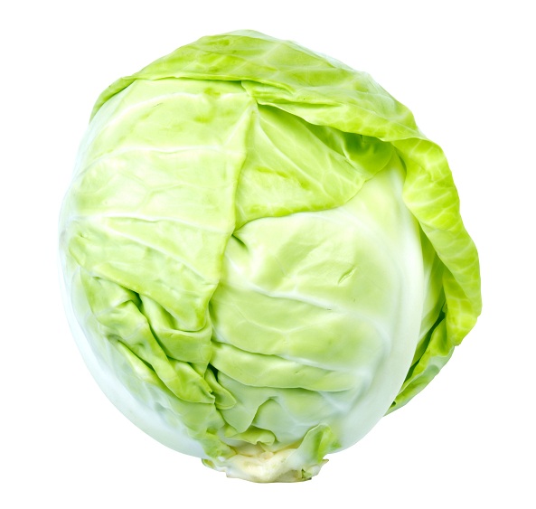 uses of cabbage