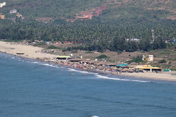 Morjim Beach In Goa For Honeymoon