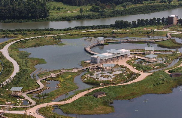 wetland-park_hong-kong-tourist-places