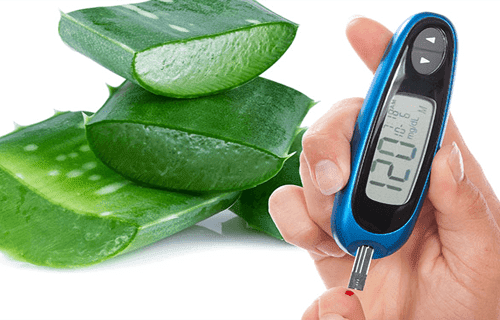 Aloe Vera Reduce Diabetes