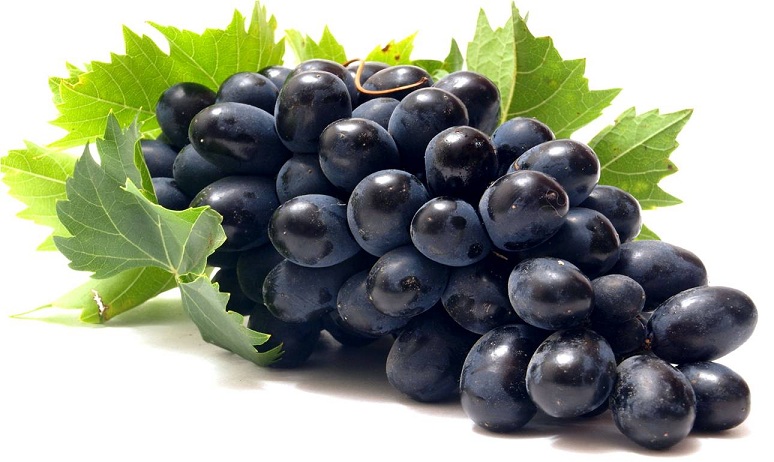 Black Grapes Benefits