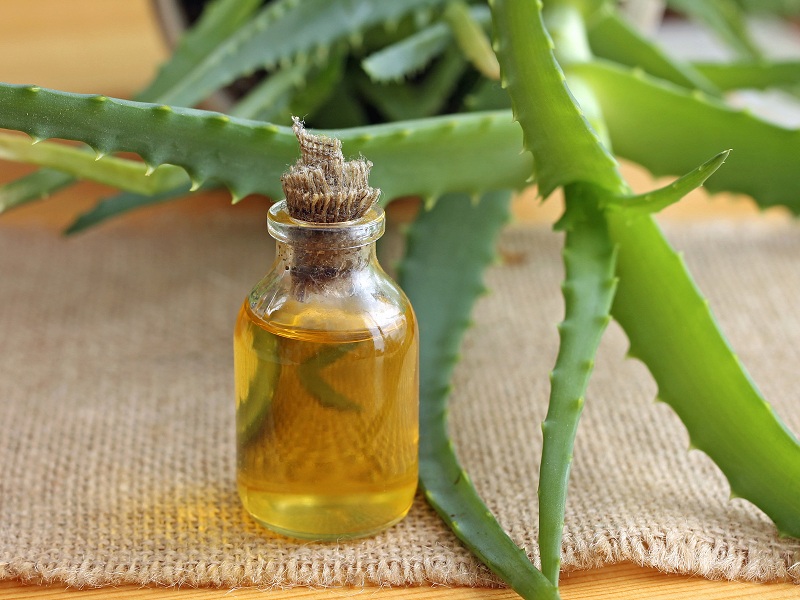 aloe vera oil uses