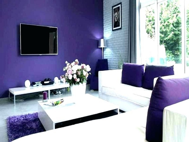 Bold Hall Colour Designs