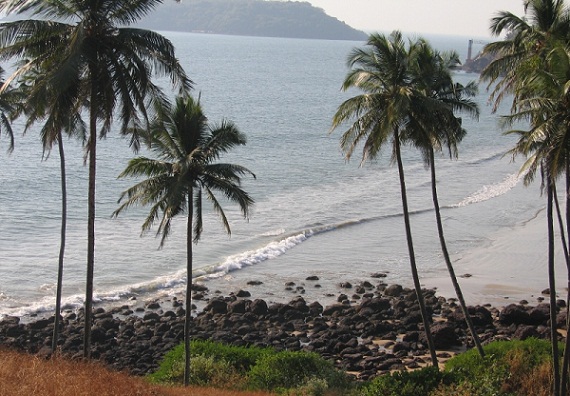 Benaulim Beach