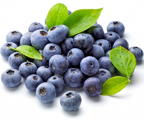 Health Benefits of Blueberries