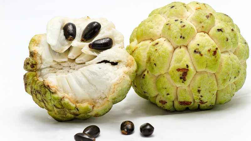 custard apple benefits