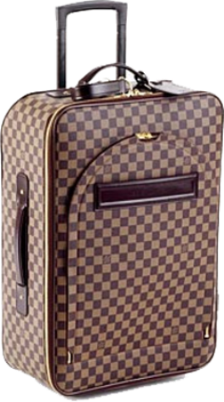 Designer Luggage Bag -1