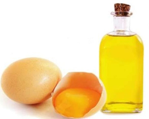 Egg Oil