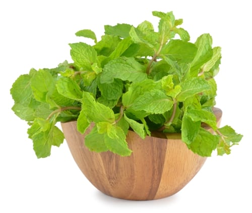 home remedies for asthma peppermint leaves