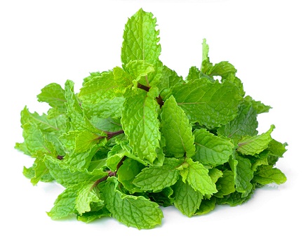 Remedies for dark cirlces - mint leave