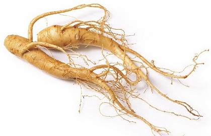 Ginseng For Weight Loss Naturally