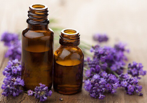 lavender oil as home remedy for migraine headache