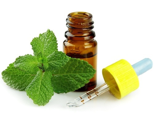 peppermint oil