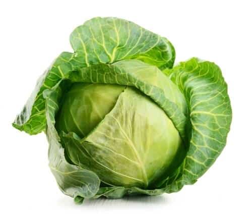 home remedies for migraine: cabbage