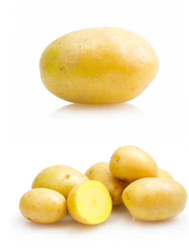 potatto uses