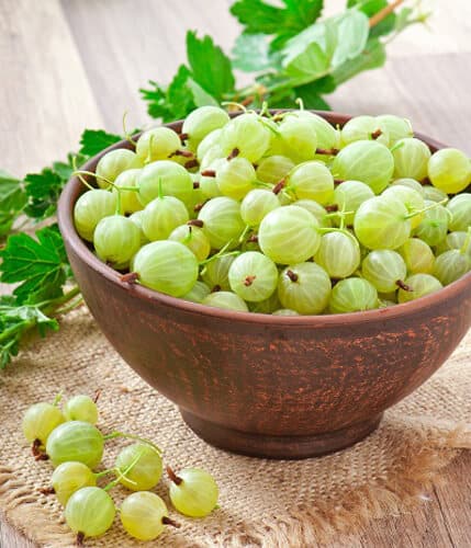 Indian Gooseberry: home remedy for Bedwetting