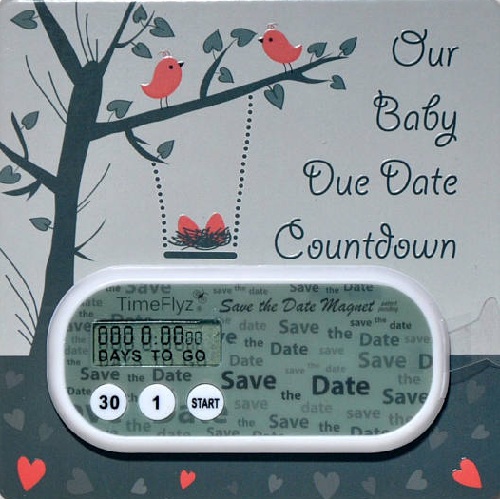 Expecting Baby Countdown Clocks