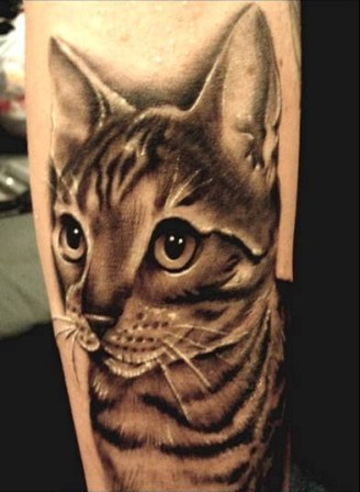 cat animal tattoo