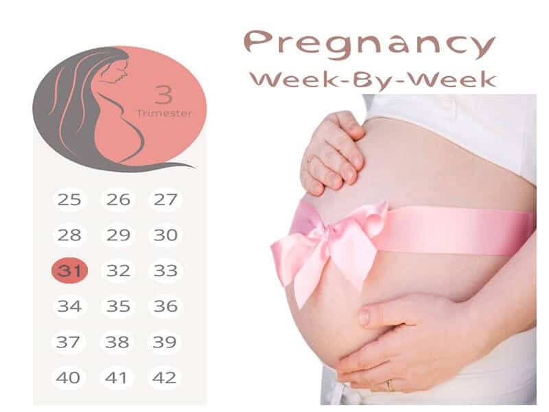 31 Weeks Pregnant What Are The Signs And Symptoms I Fashion Styles