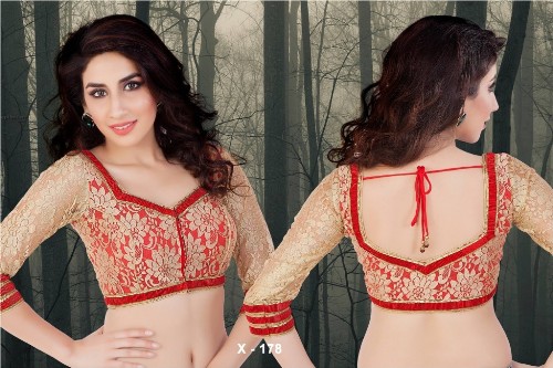 Saree Blouse Designs-Lace Blouse 15