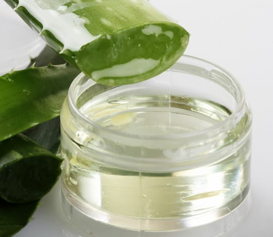 Aloe Vera for Dry Skin In Winter