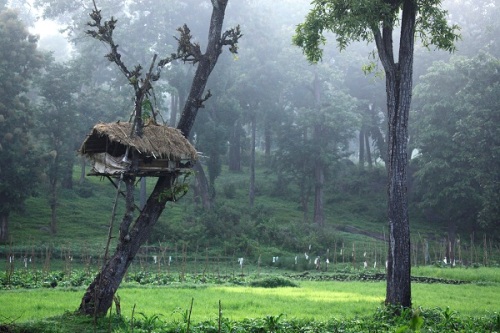 Wayanad