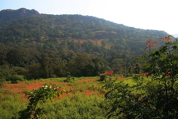 parks-in-goa-mollem-national-park