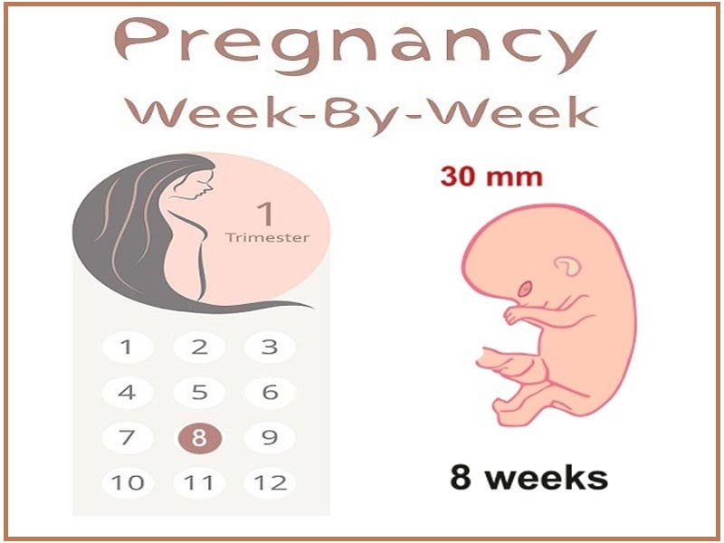 8 weeks pregnant symptoms