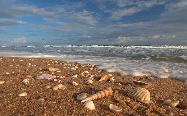 beaches-in-odisha_balighai-beach