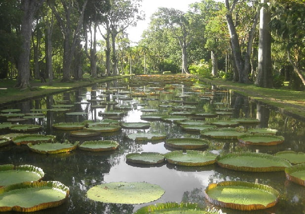 mauritius tourist places