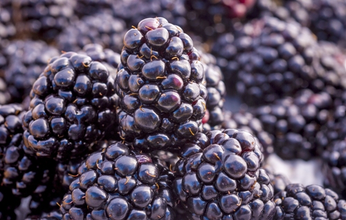 Fruits with high fiber 2