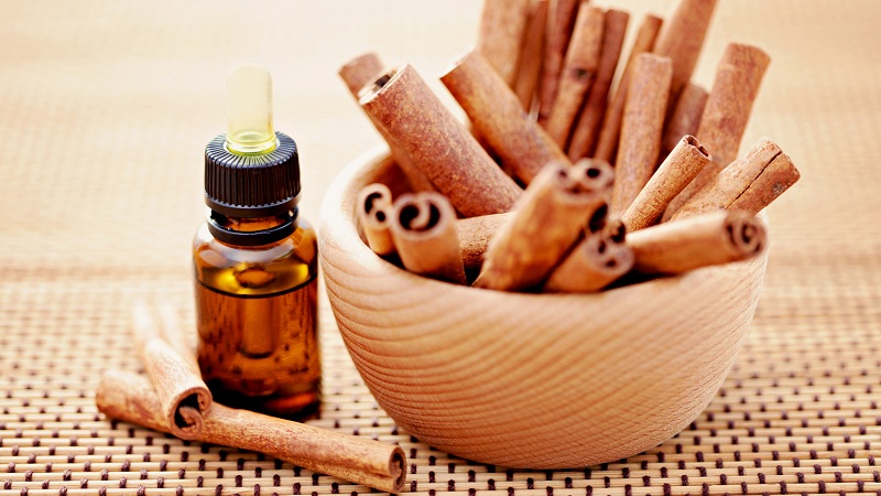 Cinnamon Seeds Benefits