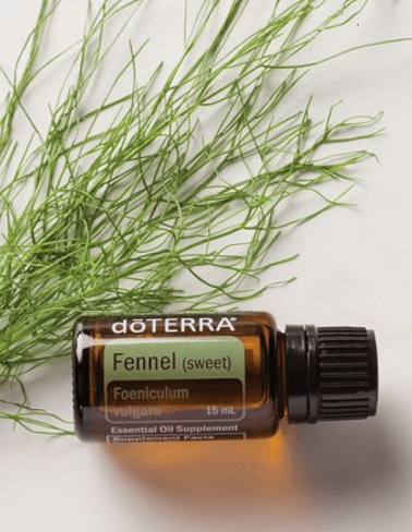 Fennel Essential Oil