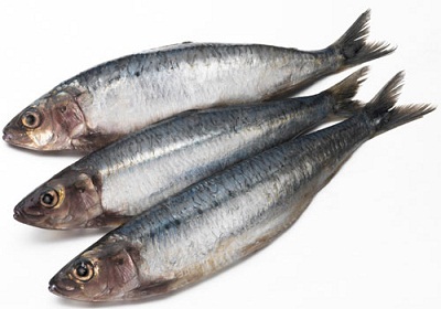 Bone Growth Foods Sardines