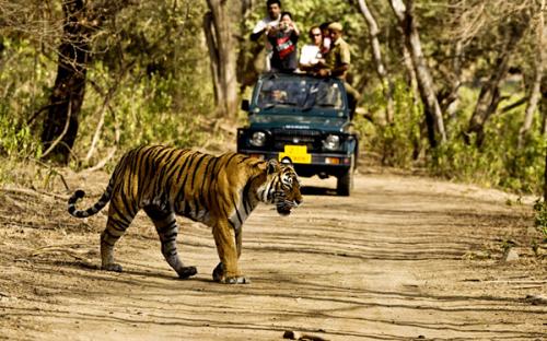 Corbett National Park