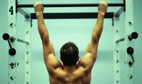 pull ups exercises