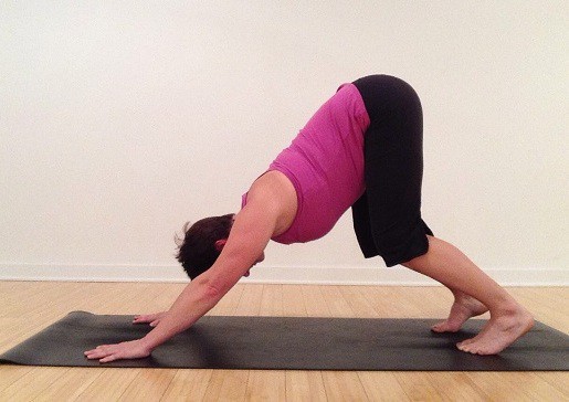 Adho Mukha Svanasana / Downward Dog Pose