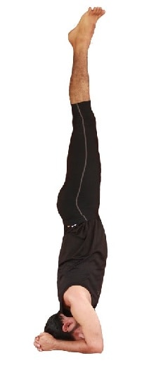 Shirshasana / Head Stand