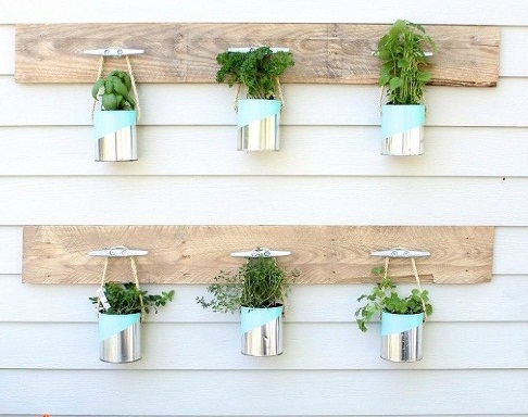 Tin Can Planters