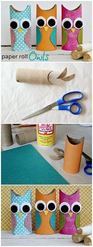 Paper Roll Owls Craft