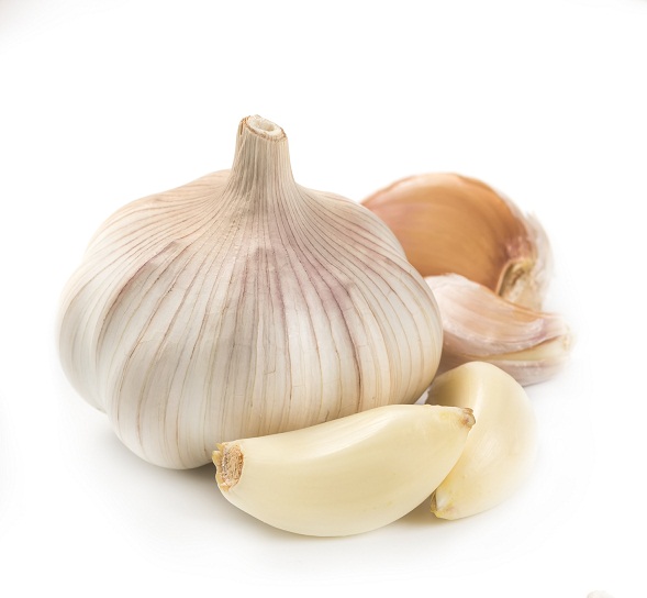 Garlic