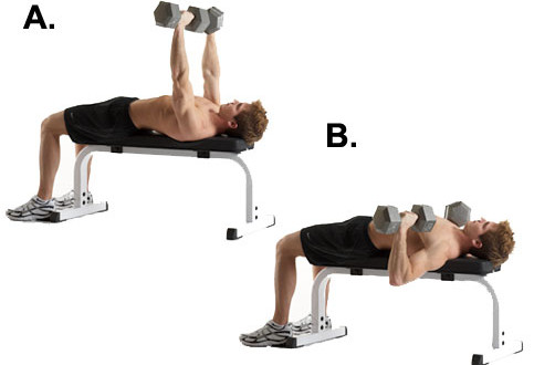 lower chest exercise 9