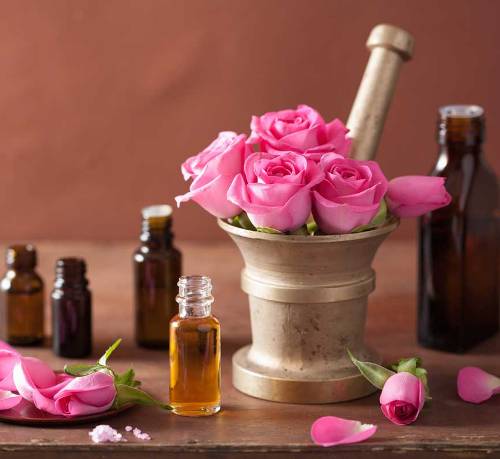 Essential oils to avoid during pregnancy Rose