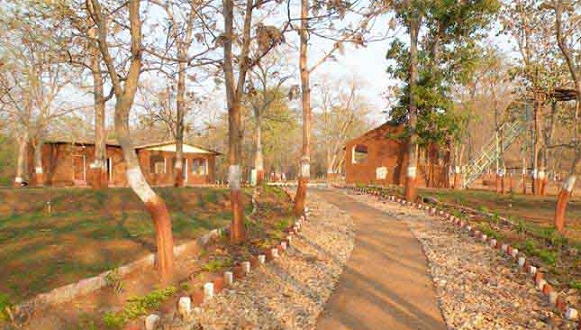 parks-in-vadodara-vadhvana-wetland-and-eco-campsite