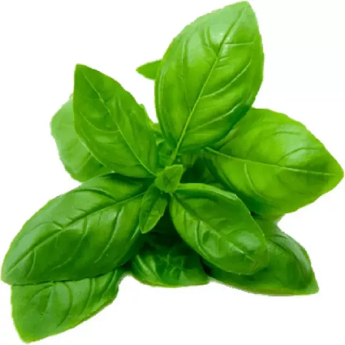 Basil Leaves, Ginger and Asafetida