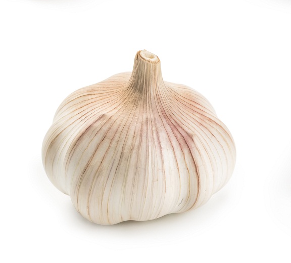 Garlic 6