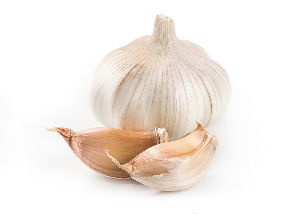 Garlic 3